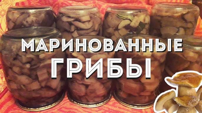 МАРИНОВАННЫЕ ГРИБЫ на зиму! Грибы — рецепт на зиму! Самый Вкусный маринад для грибов! Вкусные грибы!