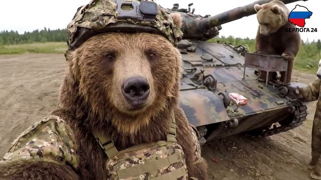 Бойцы отряда Север дают интервью