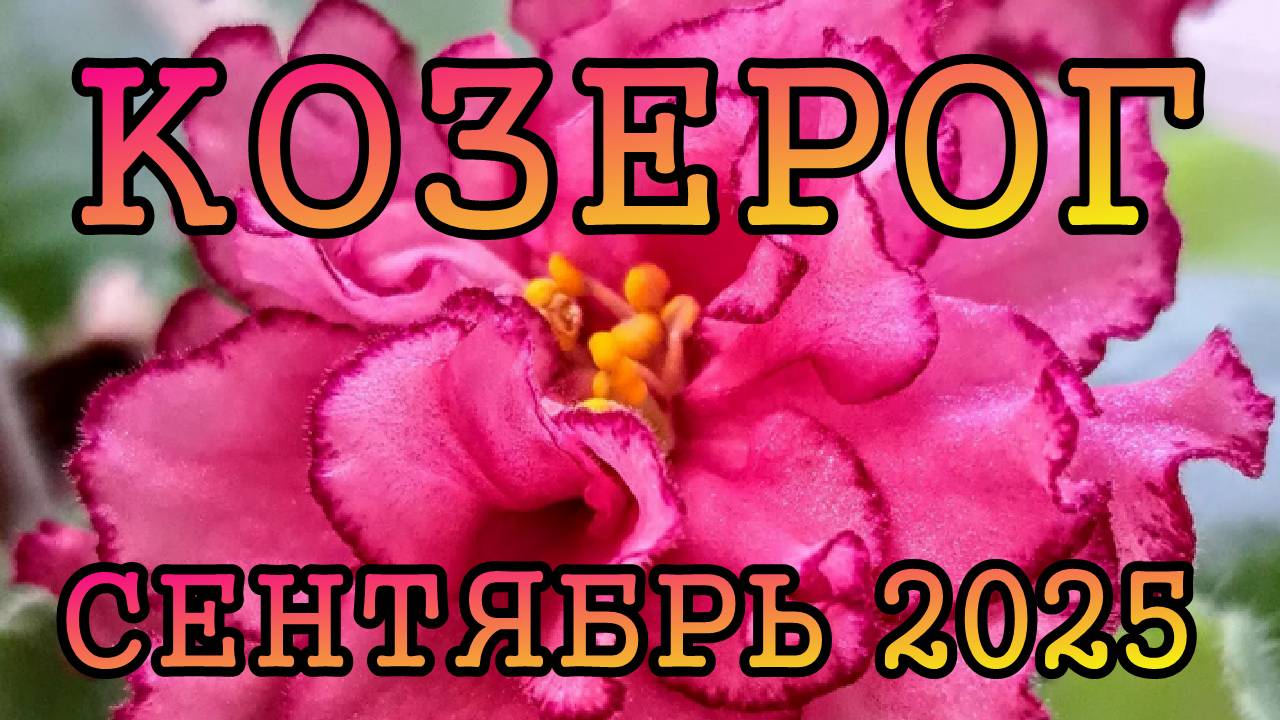 КОЗЕРОГ таро прогноз на СЕНТЯБРЬ 2025 года.