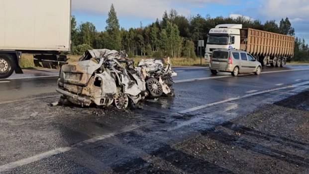 Аварии и ДТП на дорогах ТОРОПЫГИ за рулем