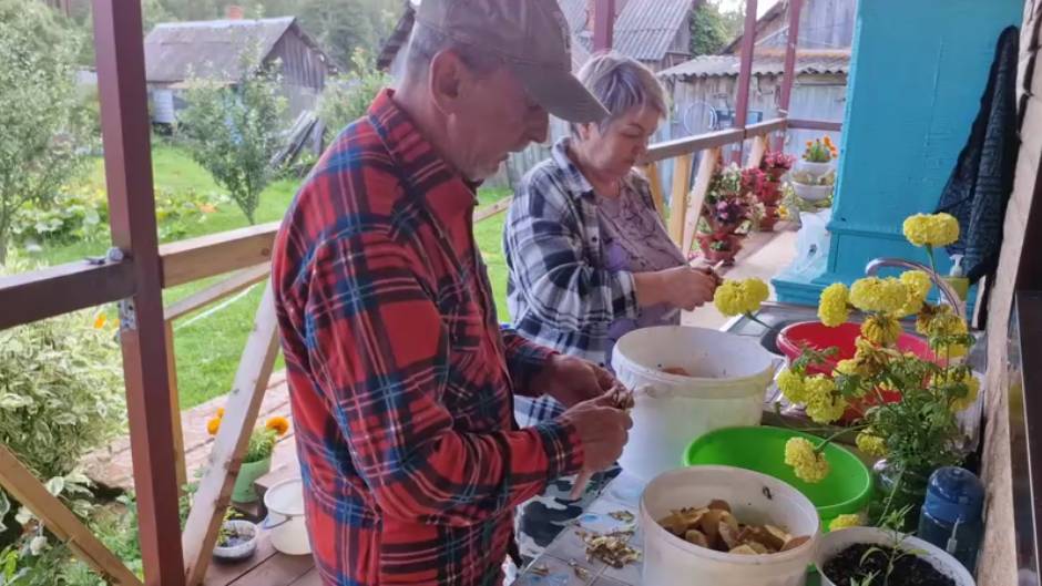 КОФЕ НА ХОДУ, НАДО БЫСТРЕНЬКО ПЕРЕБРАТЬ ГРИБЫ.