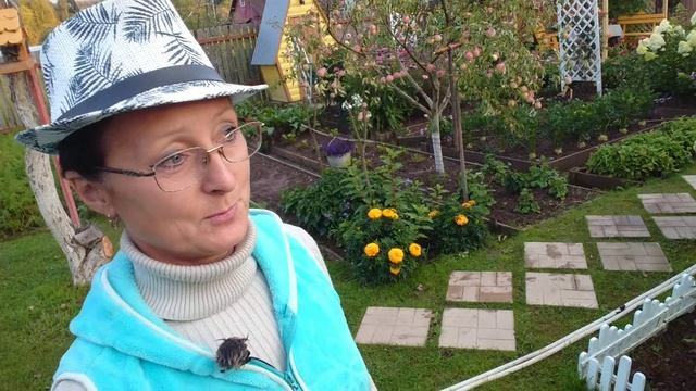 Видео привет с 6 соток 26 августа 2025 года