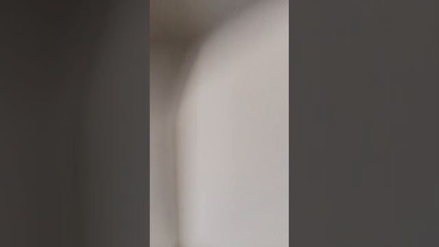 👍👍👍👍