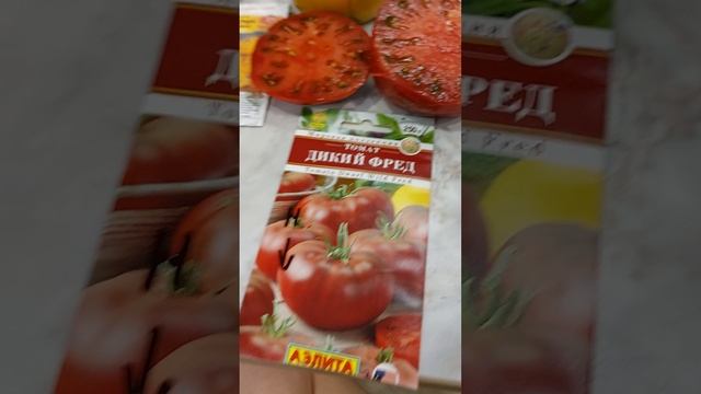 томаты: абруццо, дикий тимьян , дикий фред , груша эвана, крупная сливка, египетский красный.