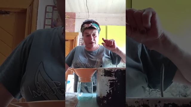 28-08-2025 Кабачковая икра