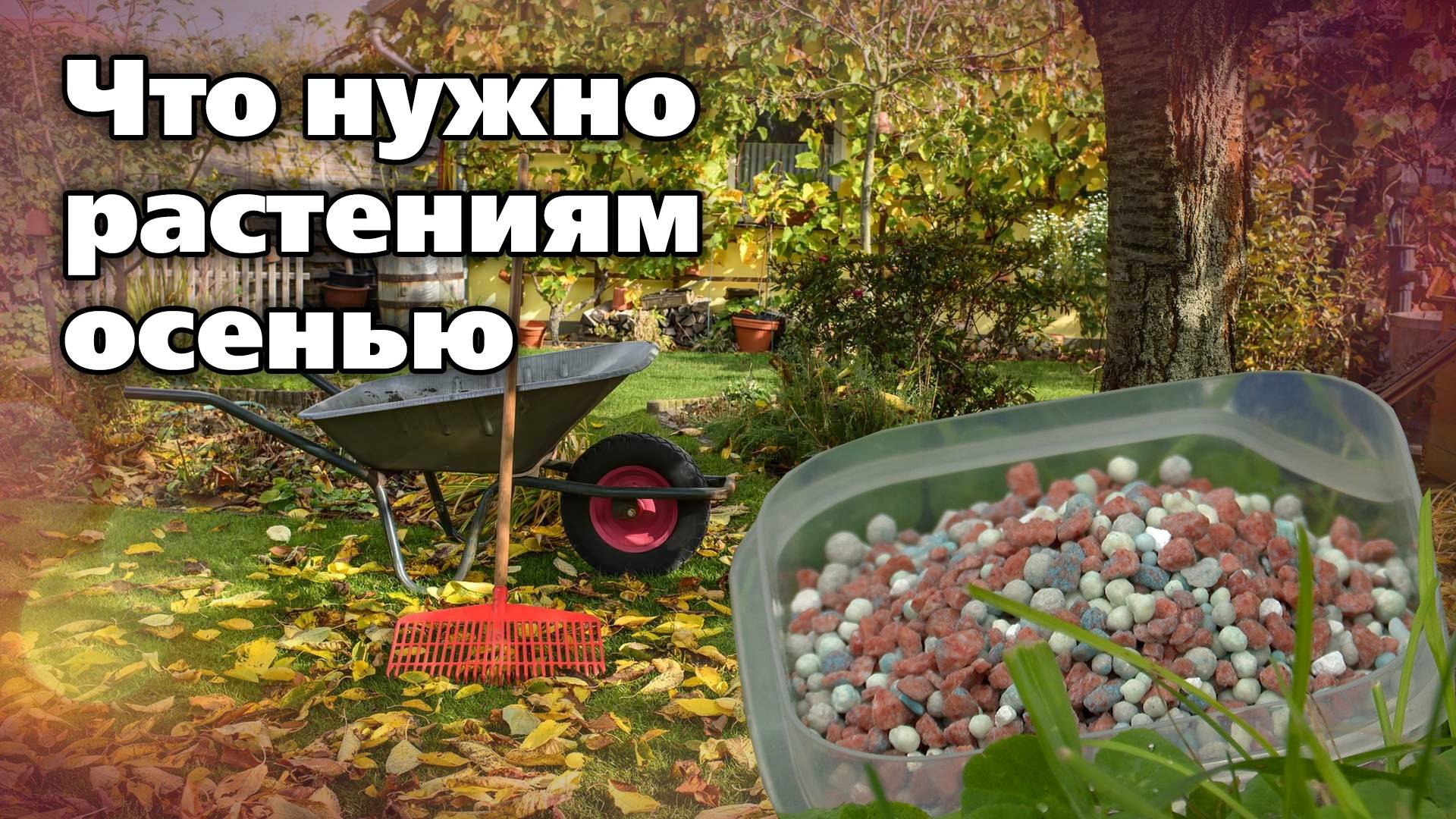 Осенние удобрения. Обзор подкормок