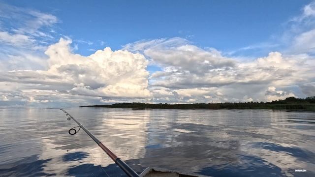 Вечерняя раздача Волхов. Окунь.
