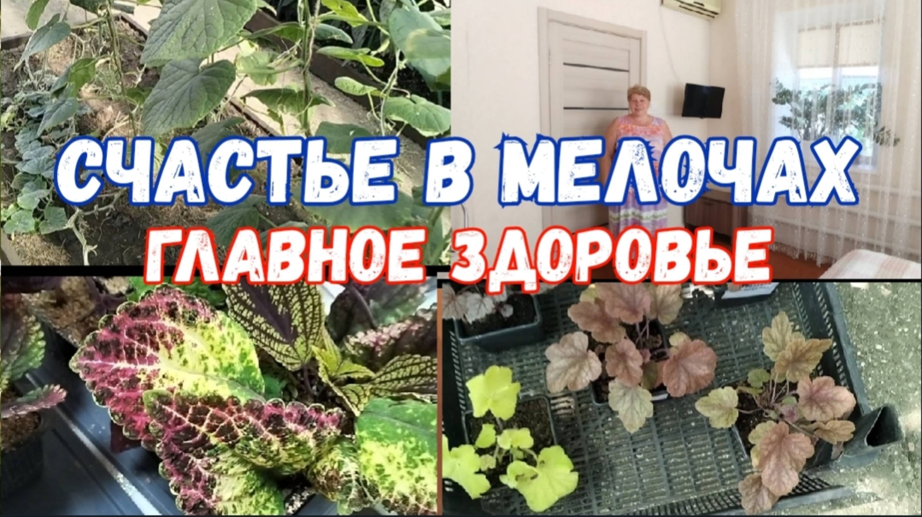 #73🌷Опять сарафан/Новое увлечение/Сколько заработала на огурцах/Вегетативные колеусы