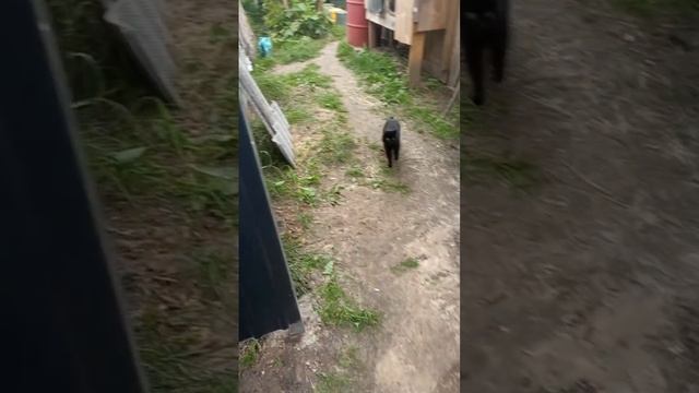 28-08-2025 Жизнь в деревне 😊