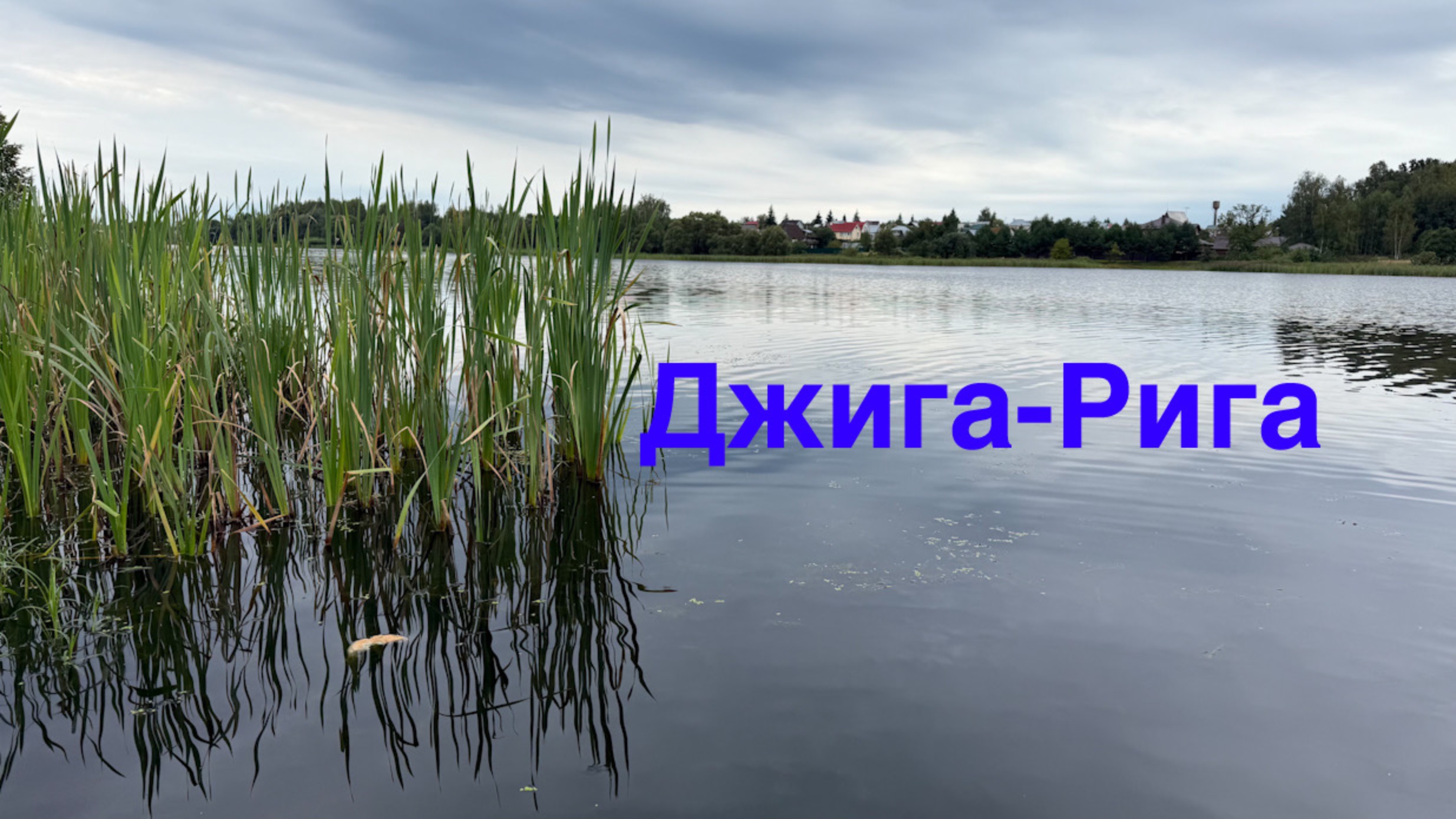 Утренняя прогулка. Риг на Окуня. Рыбалка на пруду. Ловля рыбы.