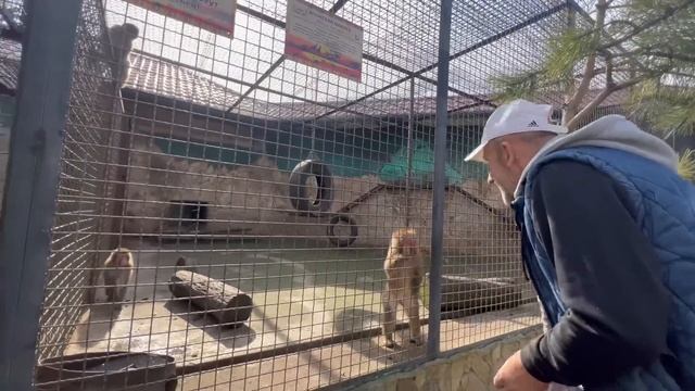 Вы только посмотрите как макака Рита накинулась на Майечку, прямо все настроение испортилось ..(((