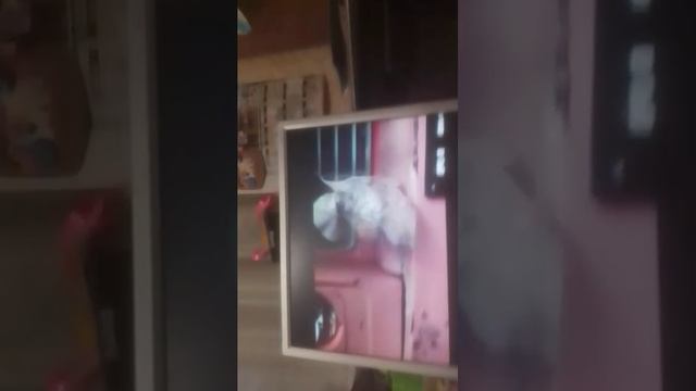 Пение чек🥳