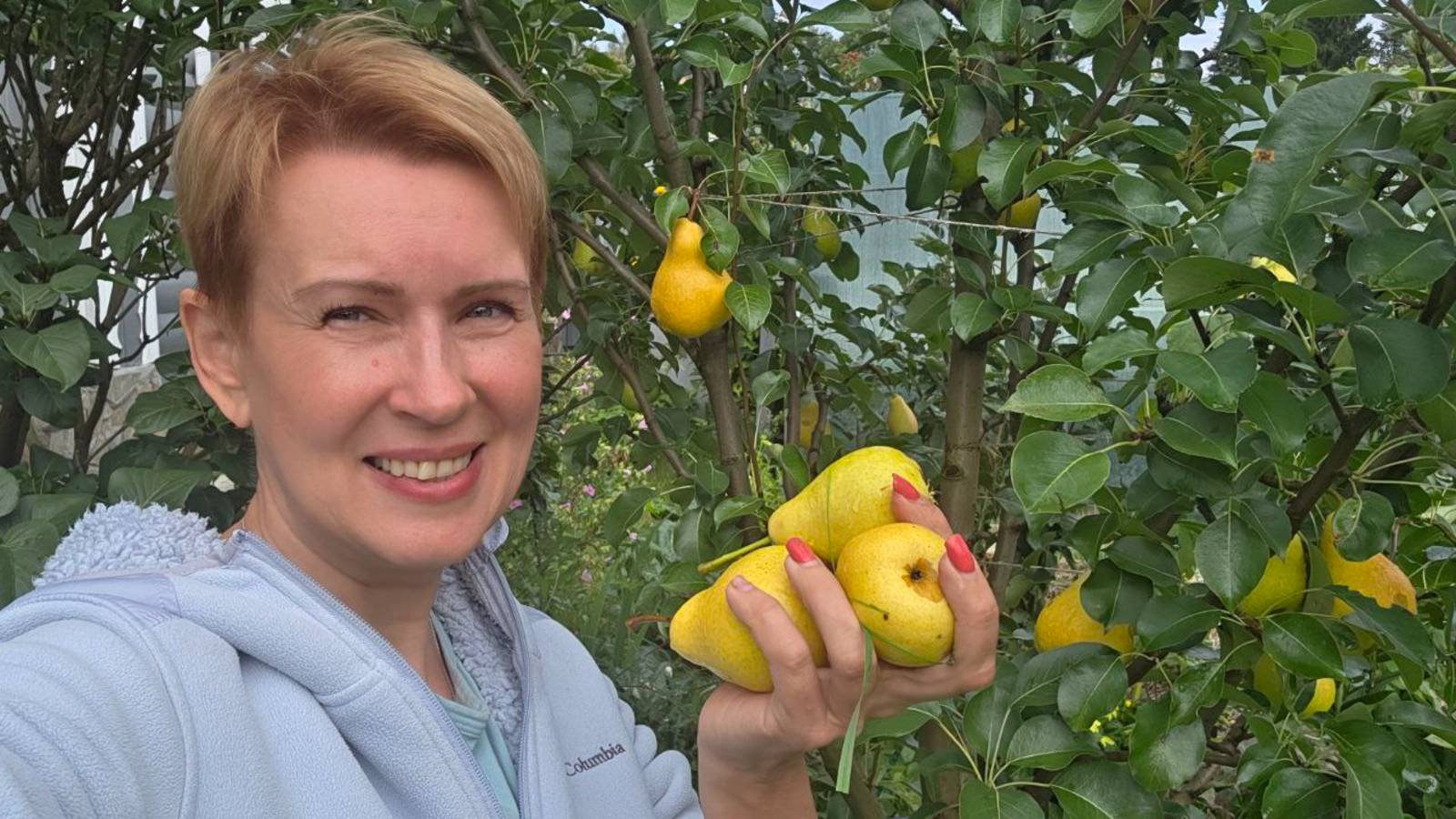 29 августа дача | утро в заросшем саду вернулись из отпуска
