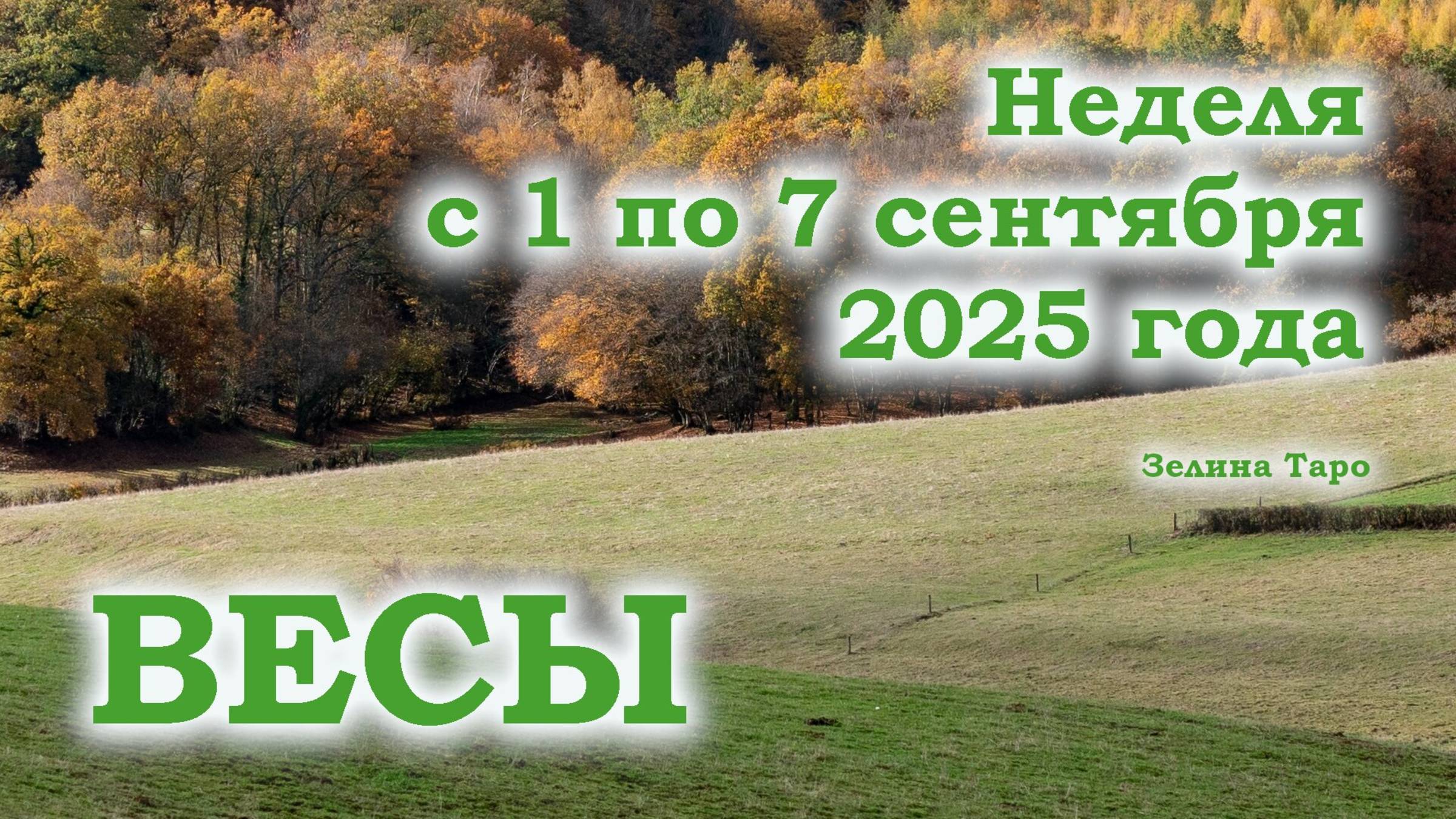 ВЕСЫ | Таро прогноз на неделю 1–7 сентября 2025 | Что ждет, чего остерегаться и совет