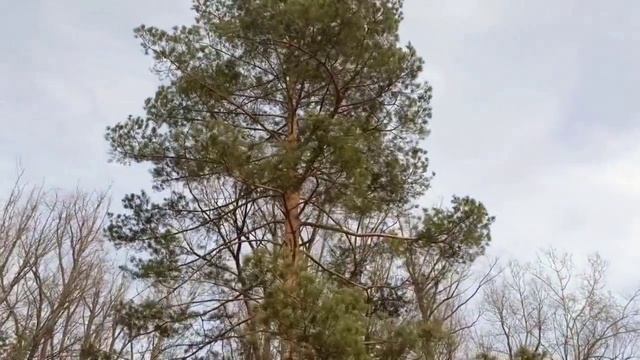 В ЖИЗНИ И НЕ ТАКОЕ БЫВАЕТ - рассказ