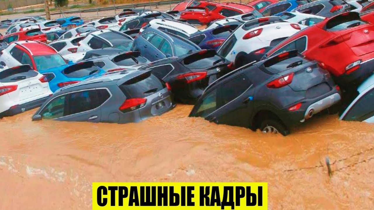 29-08-2025. ЧП. КАТАКЛИЗМЫ. КАТАСТРОФЫ. ПРОИСШЕСТВИЯ ЗА ДЕНЬ.                 новости и СМИ