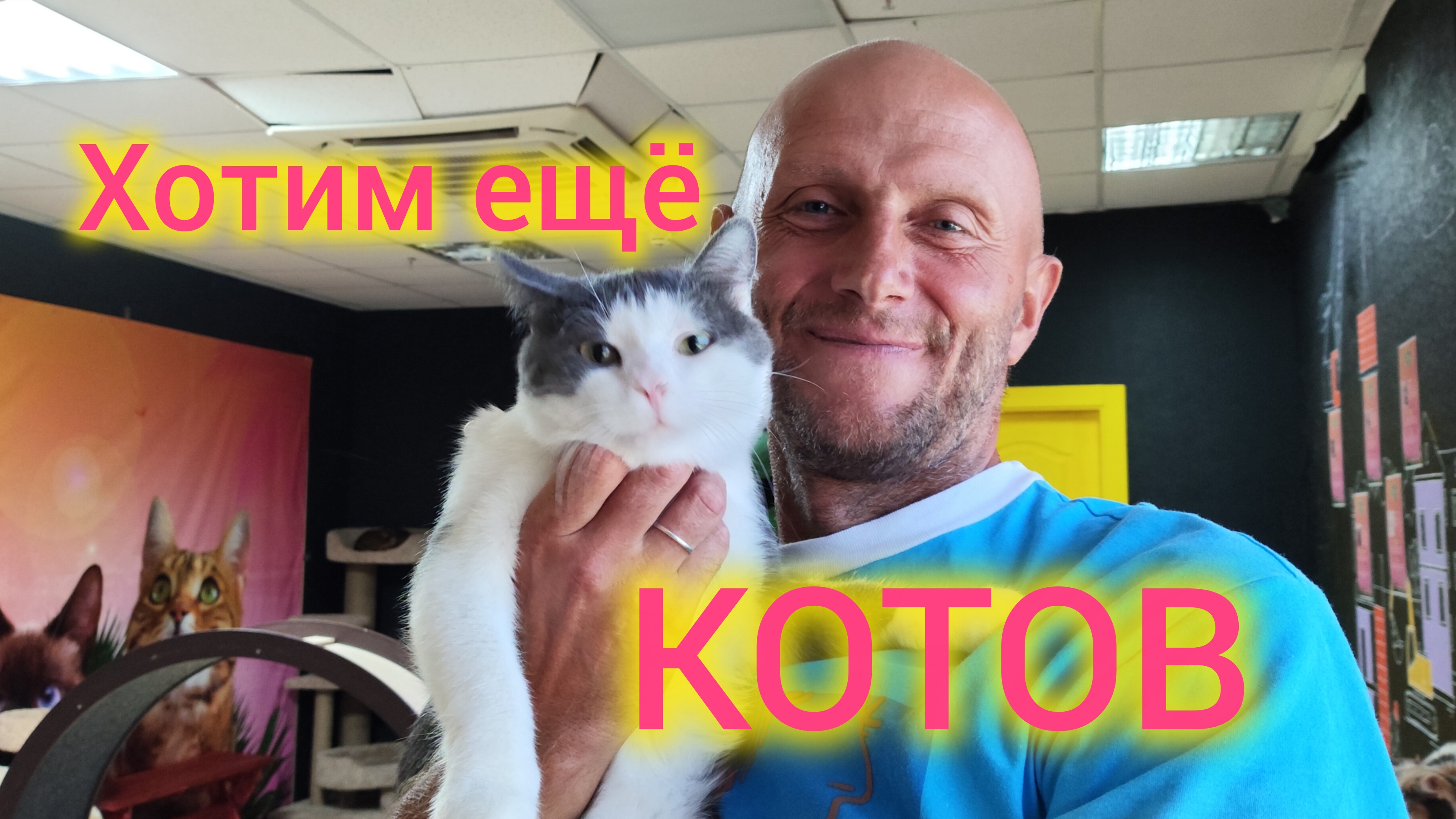Ейск🍒/В городе нет связи/Больше никаких ФИЛЬТРОВ/Мало нам своих котов... 🫣