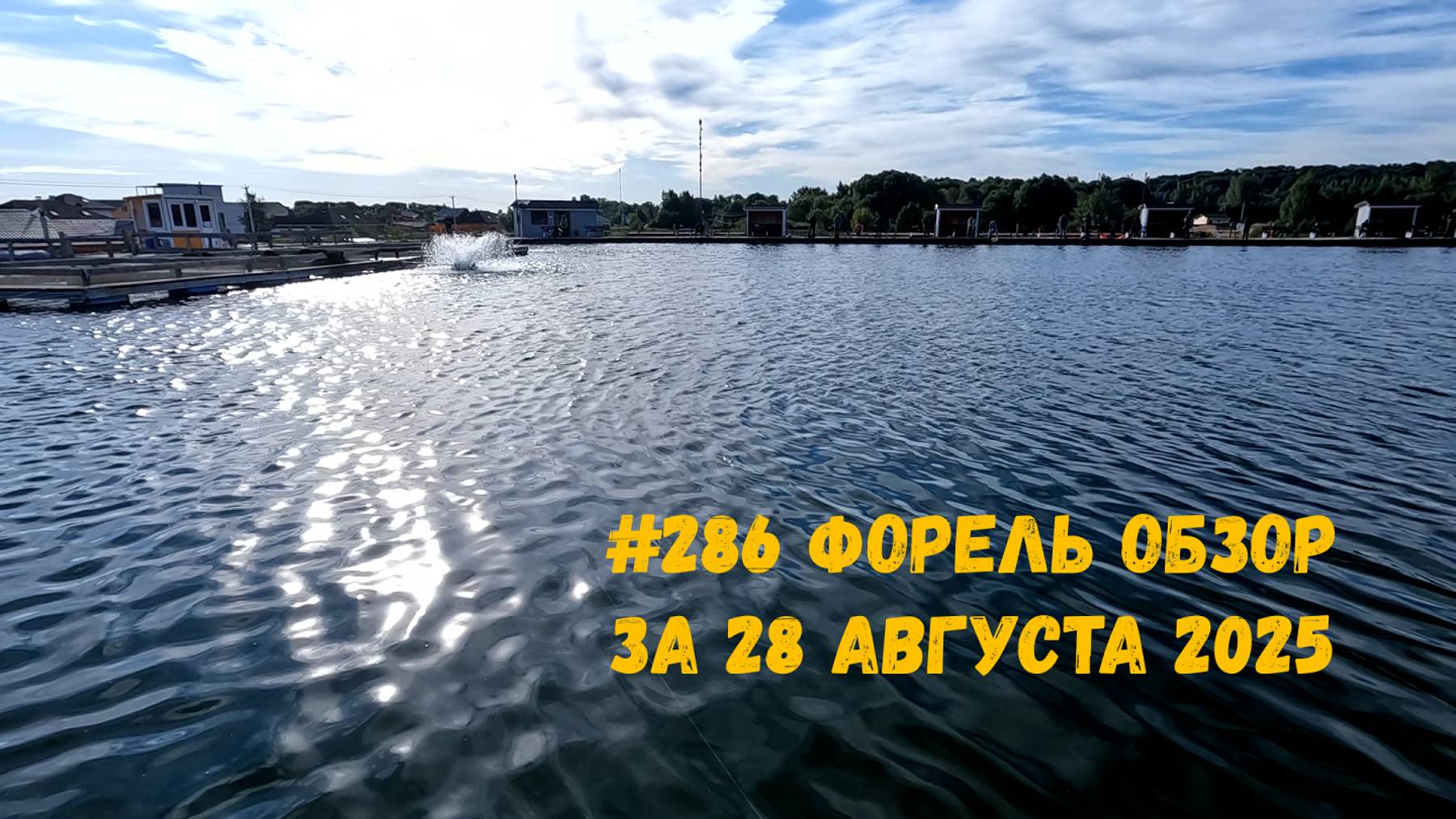 #286 Форель РК "Язь" обзор за 28 августа 2025