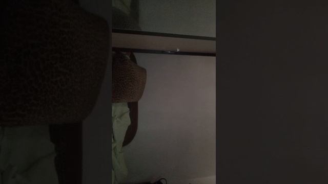 разговор и советы.