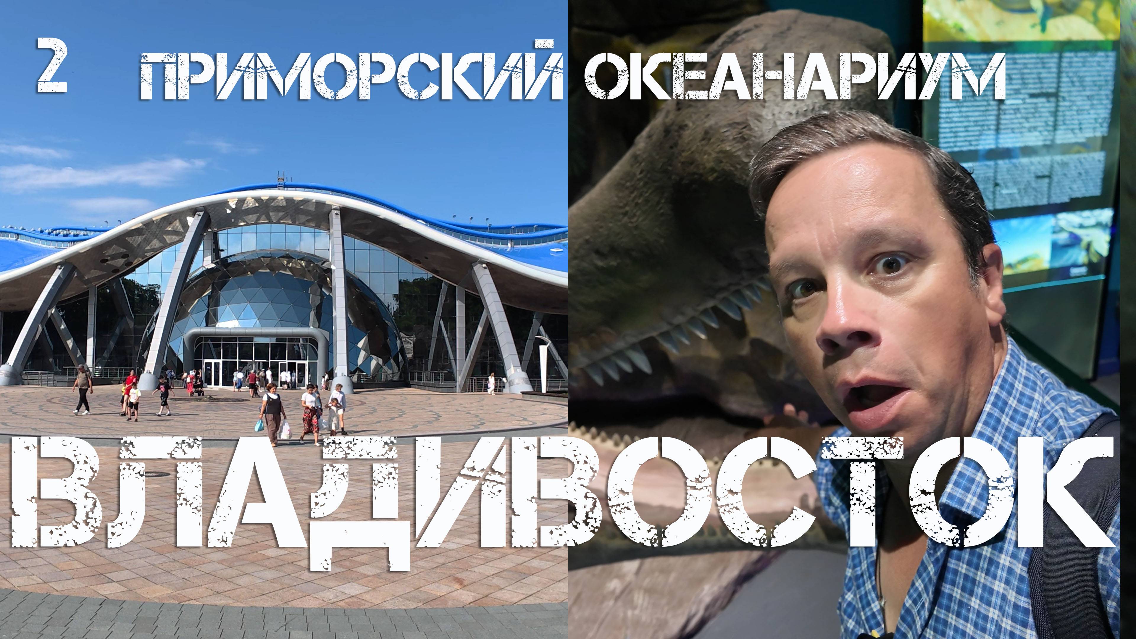 Владивосток остров Русский ,Приморский океанариум (второй фрагмент.12 августа 2025).