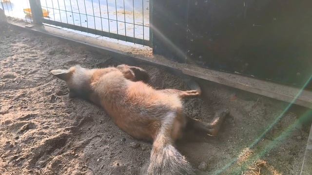 добрый вечер