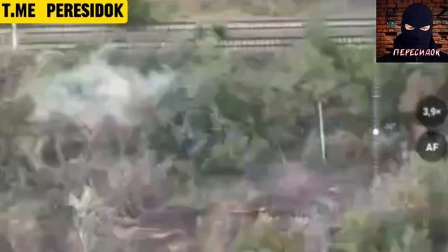 Долгое сафари на пару ВСУшников