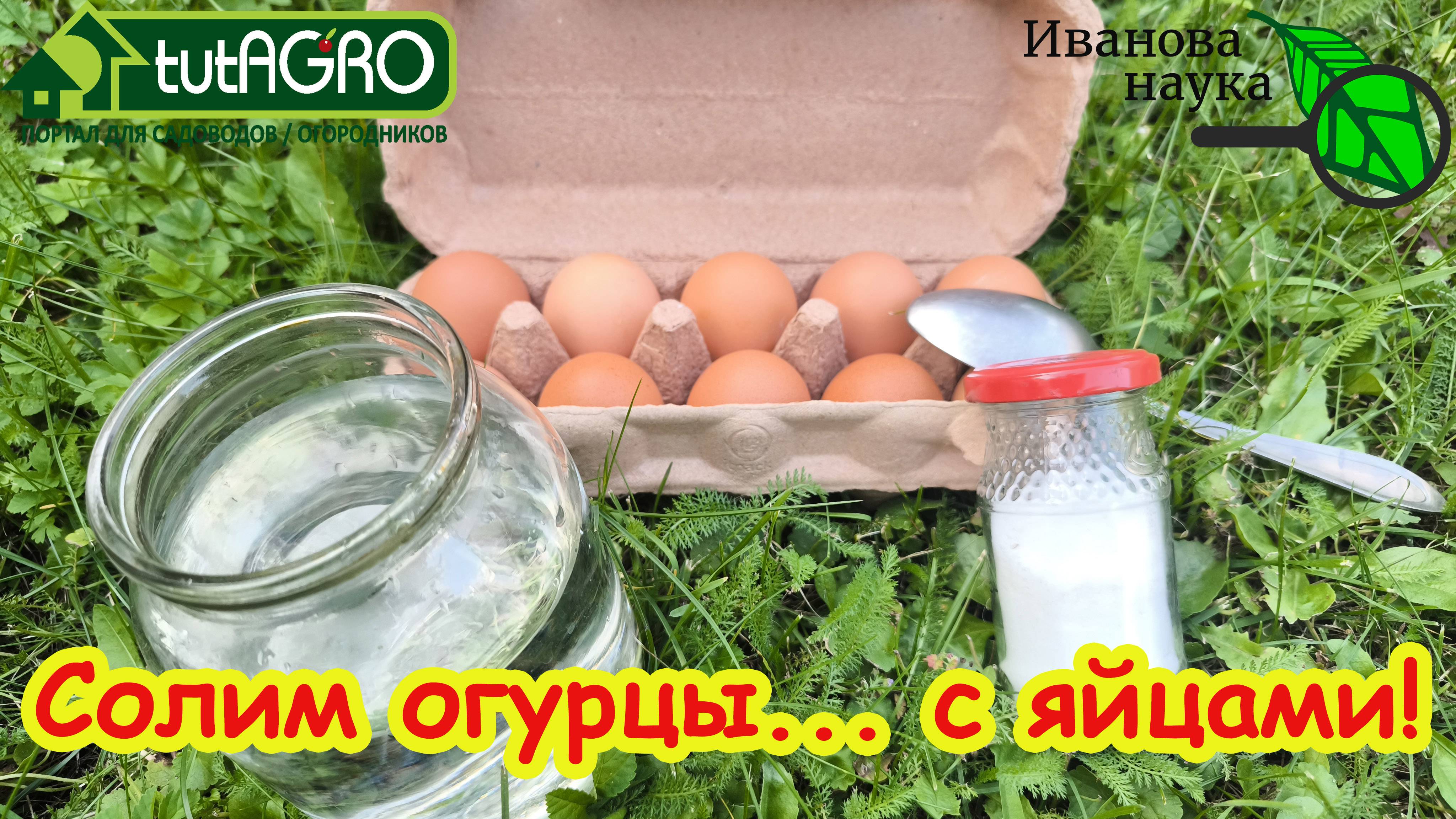 СКОЛЬКО СОЛИ НАДО ДЛЯ ОГУРЦОВ и СОЛЕНЫХ ОВОЩЕЙ? проверяем яичный метод. Сколько вы кладете соли?
