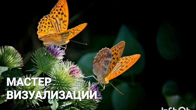 МАСТЕР ВИЗУАЛИЗАЦИИ*МОЩНЫЙ САБЛИМИНАЛ*БИНАУРАЛЬНЫЕ РИТМЫ+ПОЗИТИВНЫЕ АФФИРМАЦИИ