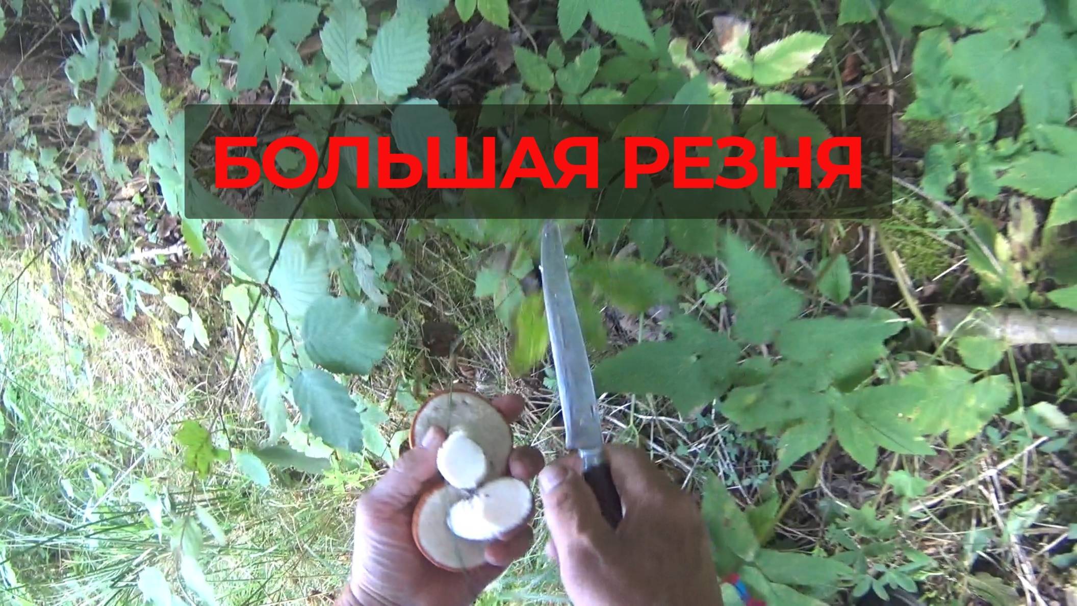 Большая Резня белых и красных
