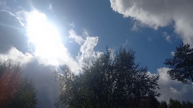 Успели убрать картошку