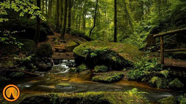 Расслабляющая музыка природа, Релакс, музыка для снятия стресса