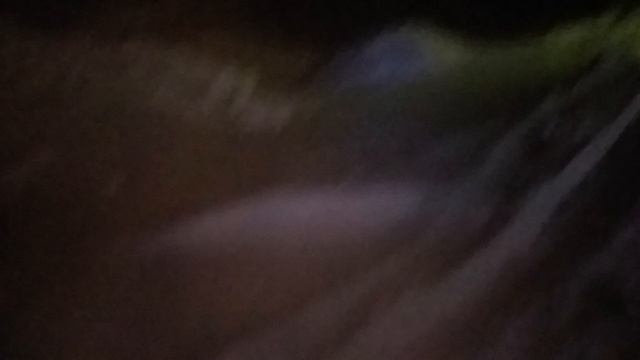 Лисенок вышел из тайги к людям, от нехватки еды в лесу.