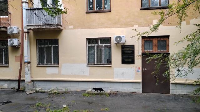 460. Хабаровск. Центральный рынок - Парк Гайдара. 30.08.25.