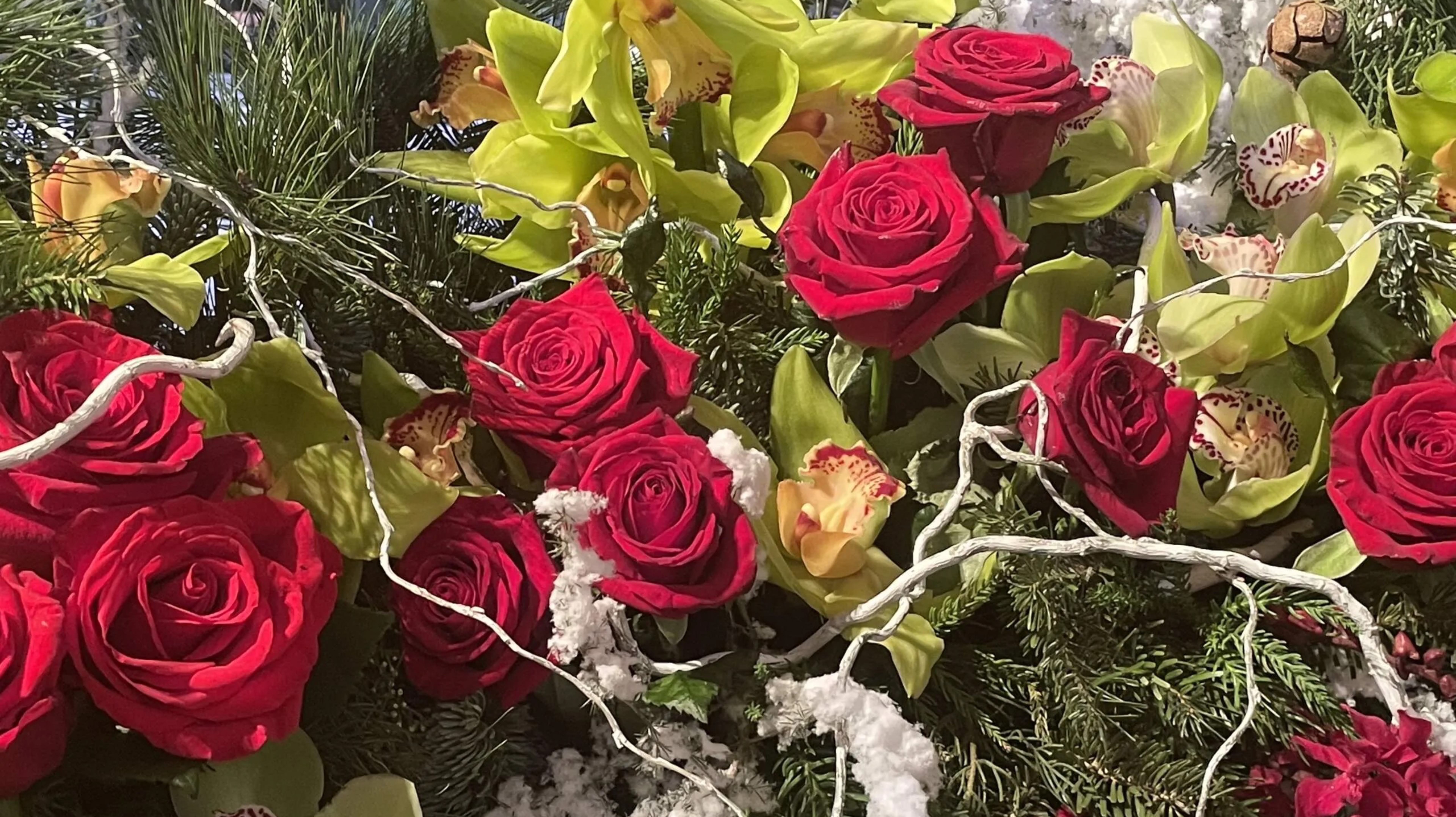 М. Шуфутинский. Миллион алых роз 🌹