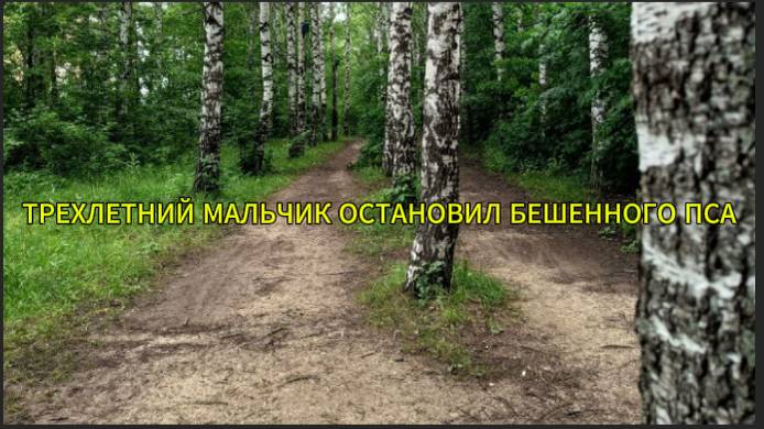 Трехлетний мальчик остановил бешенного пса