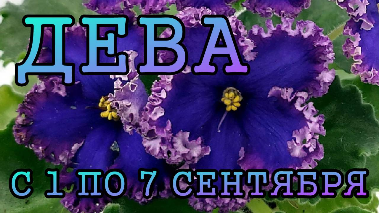 ДЕВА таро прогноз на неделю с 1 по 7 СЕНТЯБРЯ 2025 года.