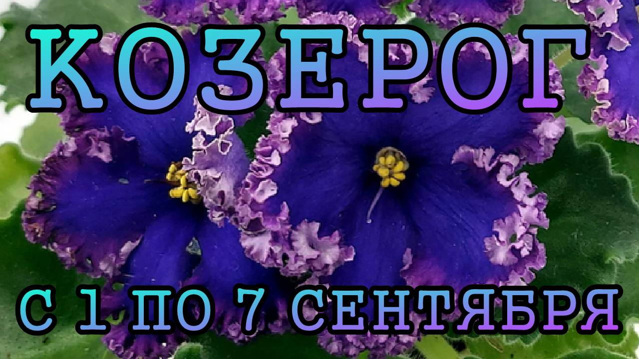 КОЗЕРОГ таро прогноз на неделю с 1 по 7 СЕНТЯБРЯ 2025 года.