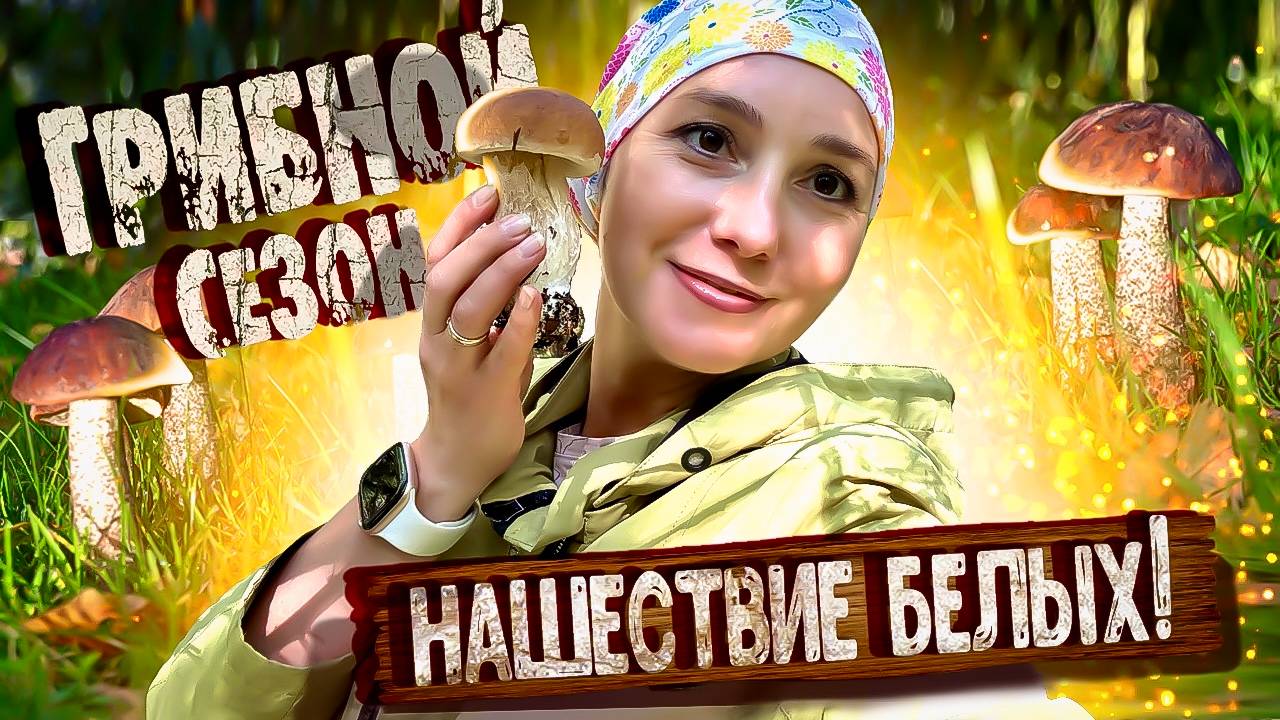 Нашествие БЕЛЫХ! Грибы ПОВСЮДУ! Грибной СЕЗОН 2025