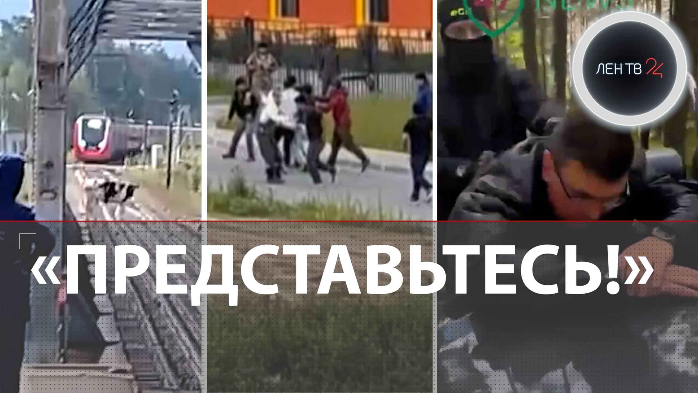 Массовая драка в Янино | Поймали прокурора | Коробка для новорожденных | Генералы строгого режима
