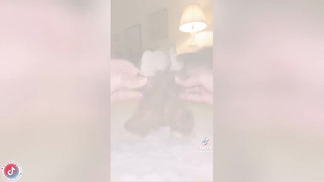 Best video of Tik Tok! 30.08.25 / 02