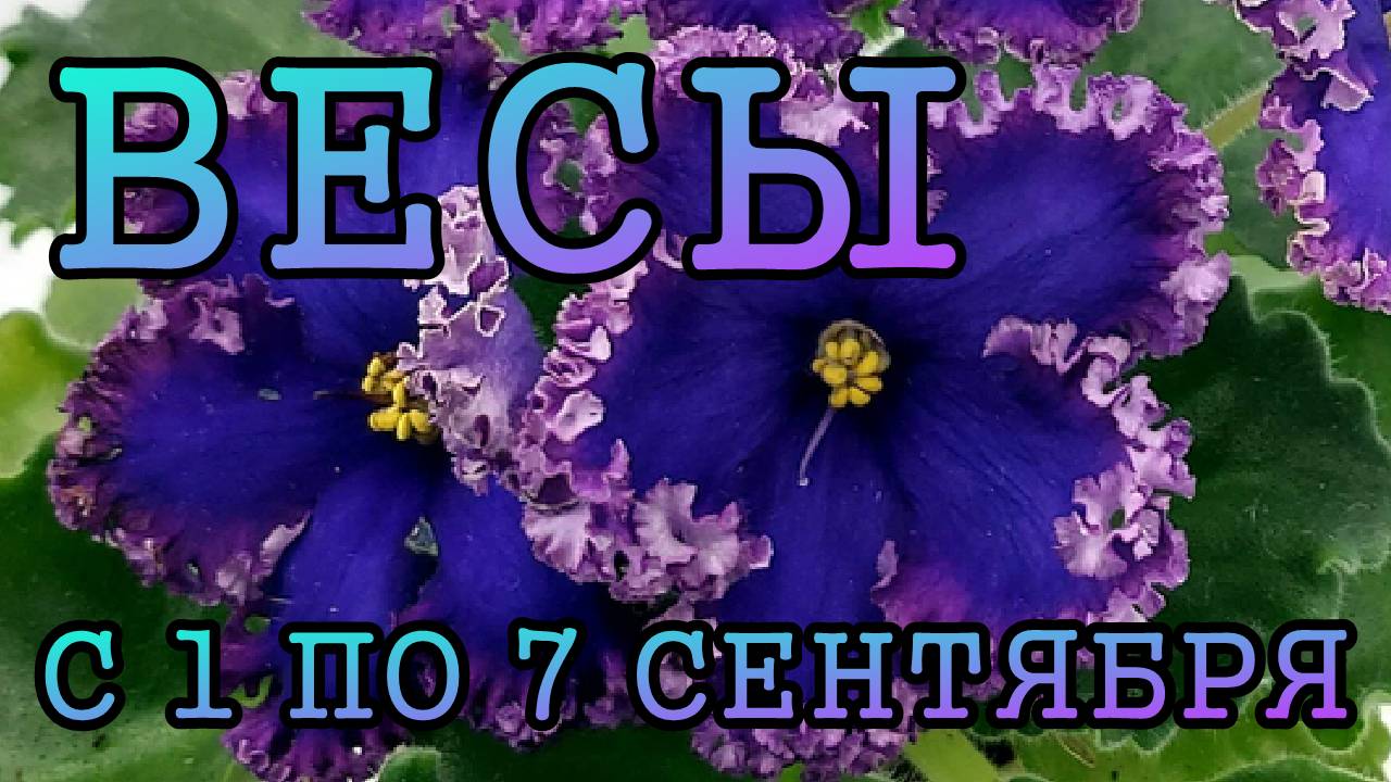 ВЕСЫ таро прогноз на неделю с 1 по 7 СЕНТЯБРЯ 2025 года.