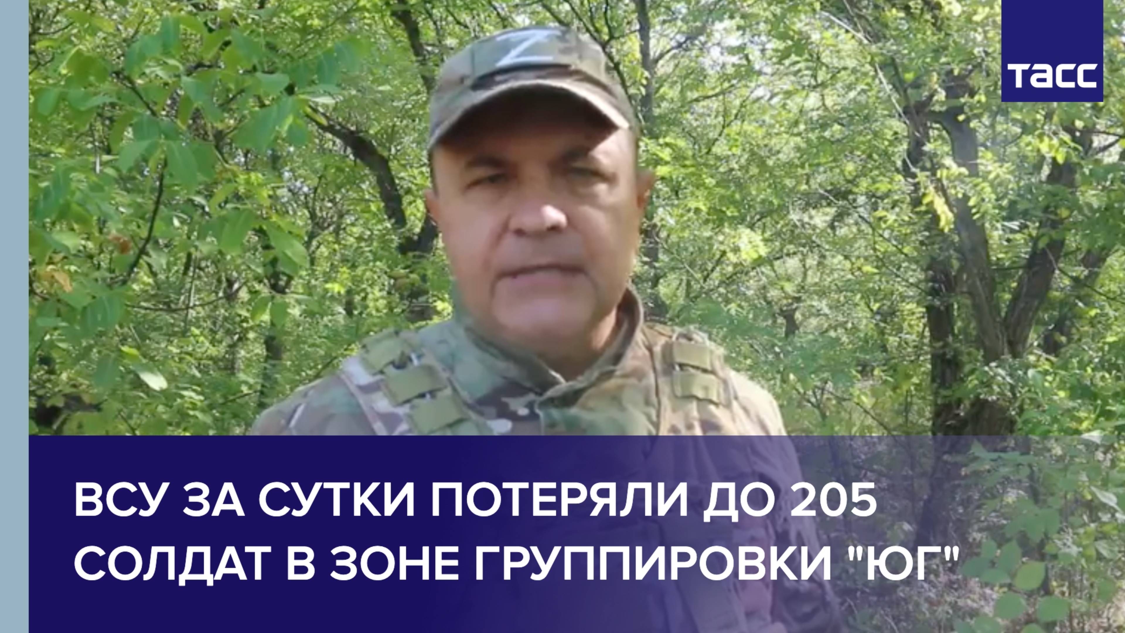 ВСУ за сутки потеряли до 205 солдат в зоне группировки "Юг"