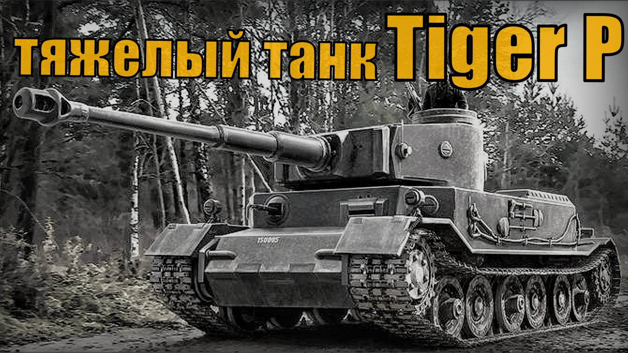 Немецкий тяжелый экспериментальный танк Tiger P Вооружение и техника