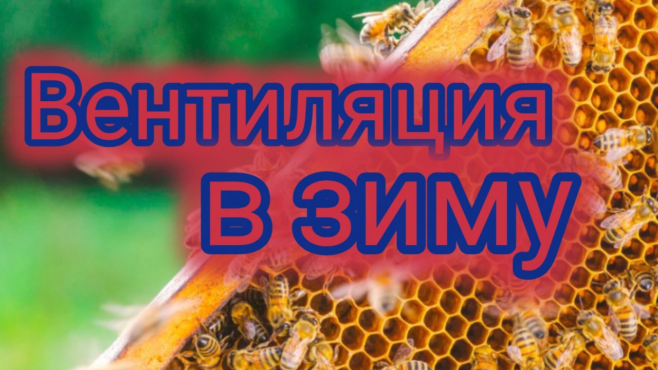Вентиляция в зиму 🐝