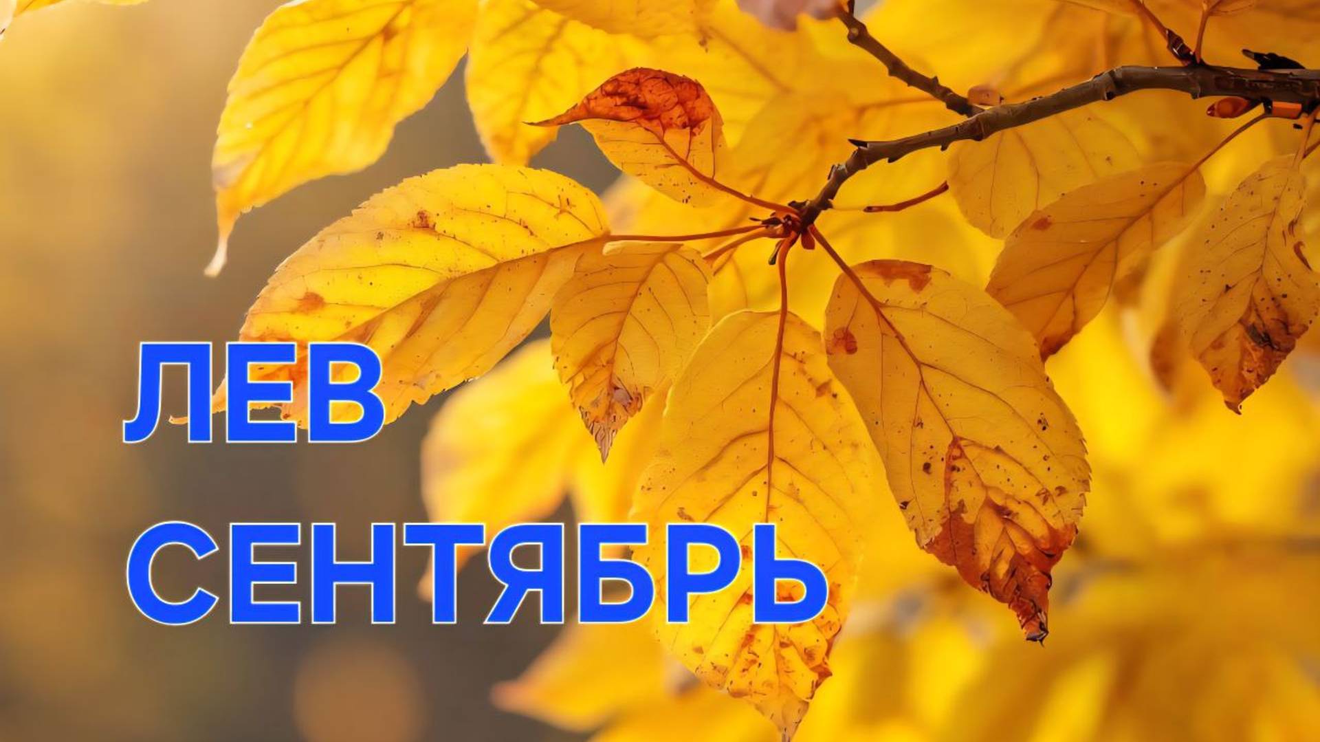 ЛЕВ. ТАРО ПРОГНОЗ НА СЕНТЯБРЬ