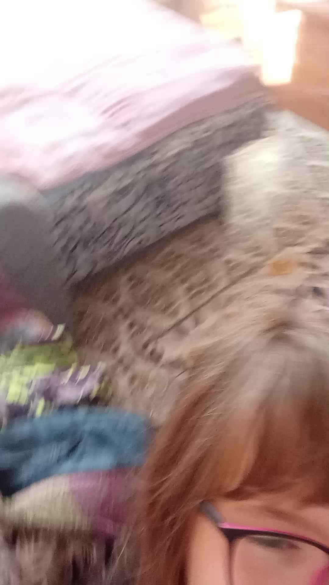 у Даши уже целых 357 заек спасибо вам мои любимые мои зайки котики ❤️🔥❤️🔥❤️🔥❤️🔥❤️🔥💖💖❤️