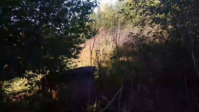 обход участка и пару треков новинок в конце.