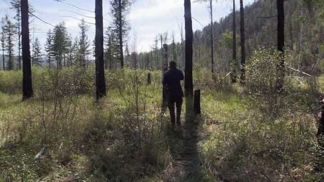 В изоляции 5 сезон 2 серия «Призрак» (документальный сериал, 2018)
