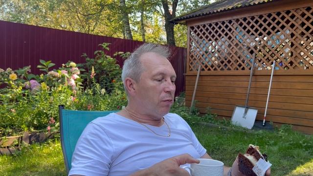 Теплый день! Осы выгнали с дачи