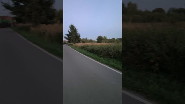 Вечерняя прогулка.